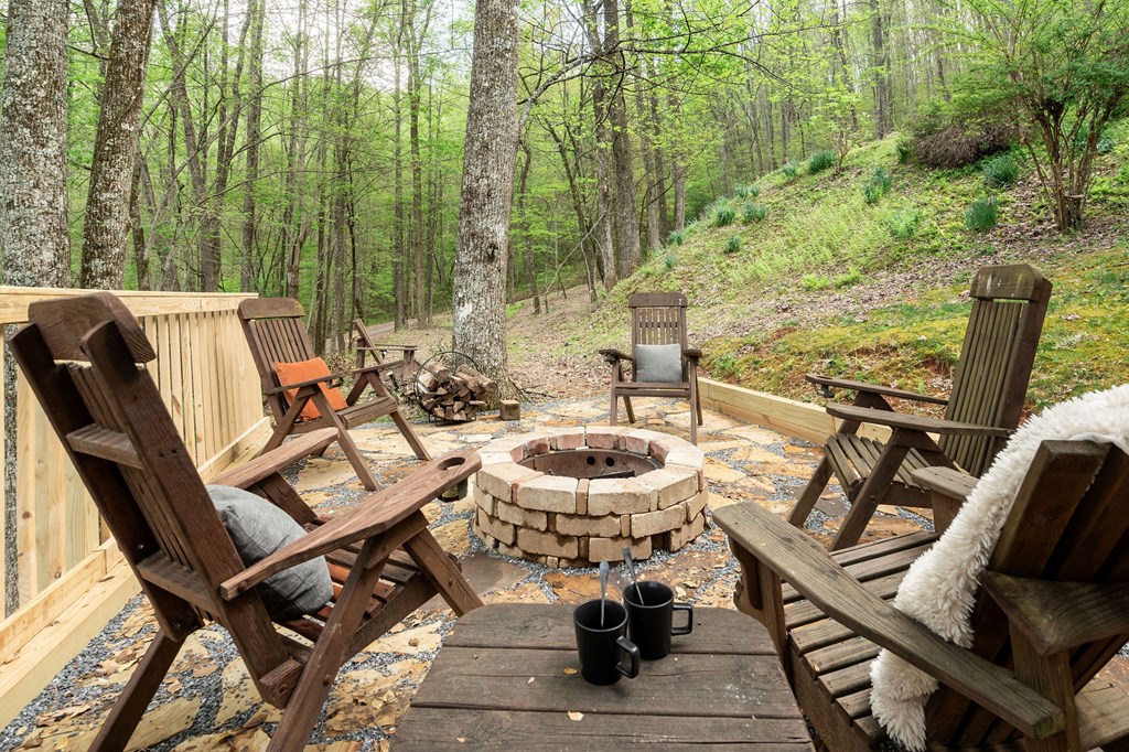 384 Mountain Highlands Court Property Photo 44