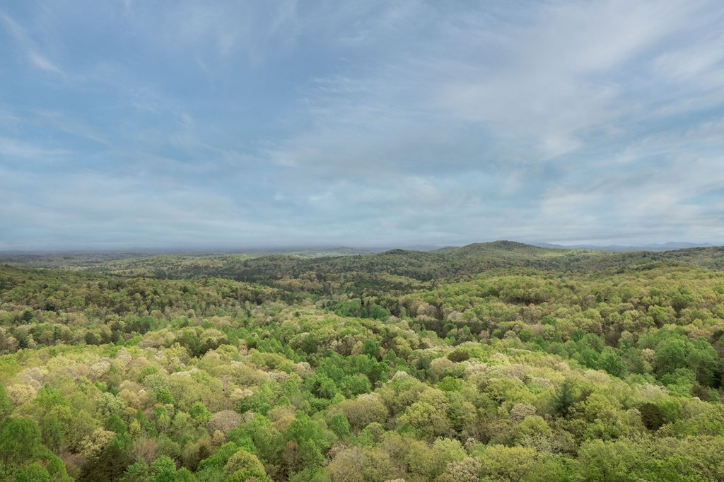 384 Mountain Highlands Court Property Photo 51