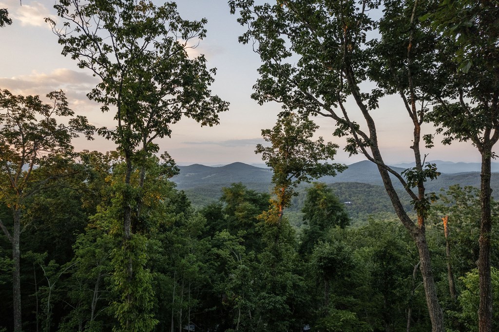 224 Eagle Ridge Property Photo 4