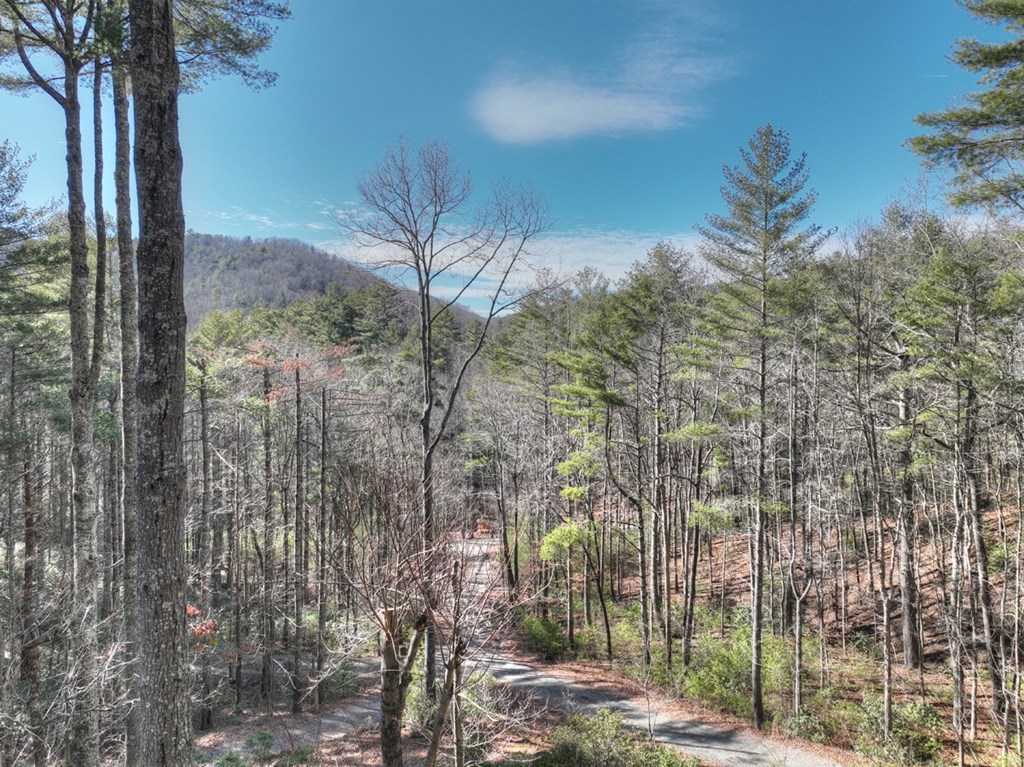 212 Dream Cove Road Property Photo 10