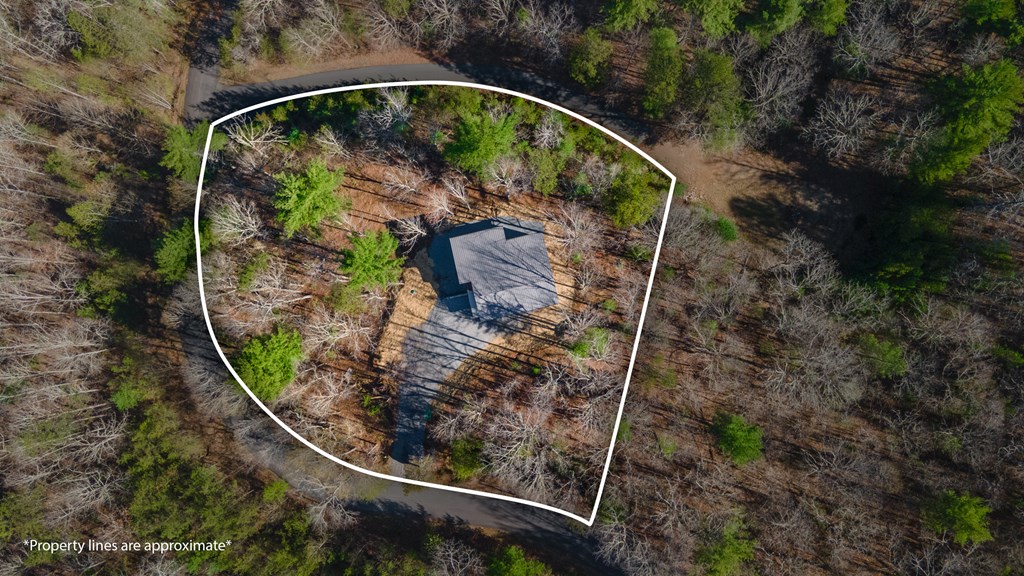 170 Timber Oaks Drive Property Photo 38