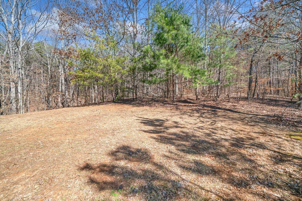 166 Whispering Waters Drive Property Photo 25