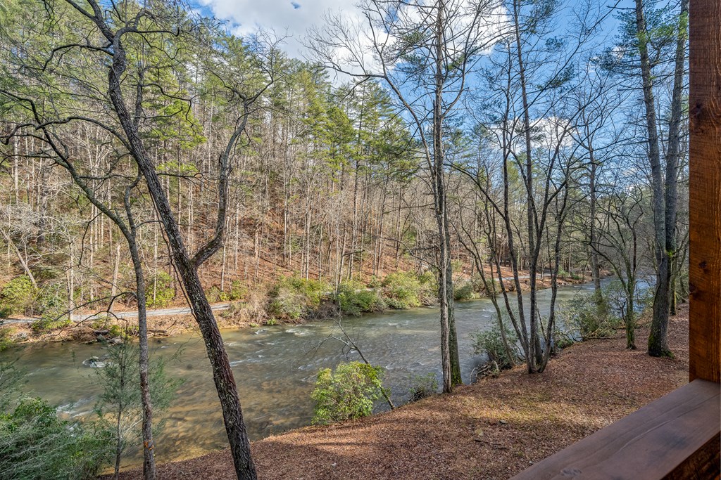 212 Fish Tale Cove Property Photo 3