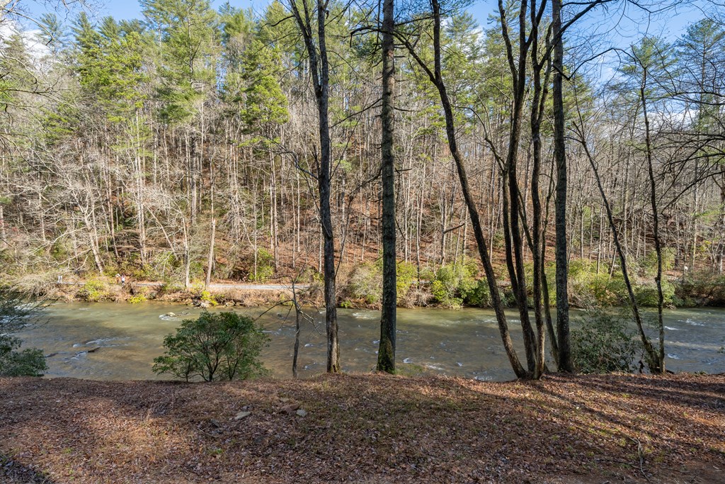 212 Fish Tale Cove Property Photo 46