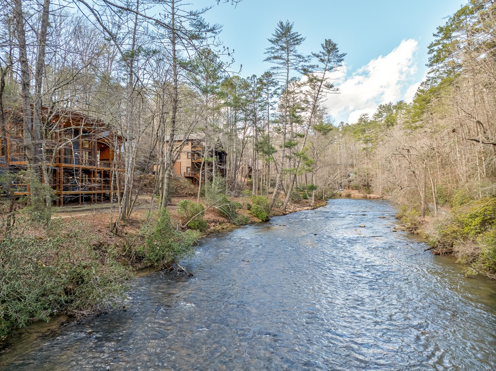 212 Fish Tale Cove Property Photo 55