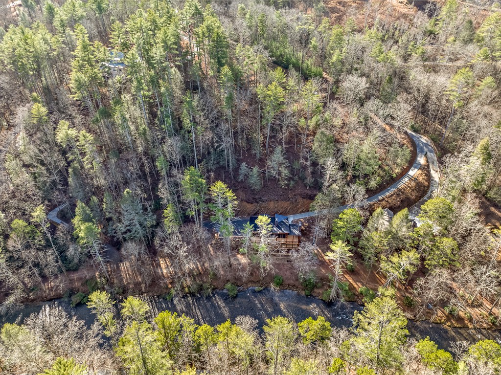 212 Fish Tale Cove Property Photo 59