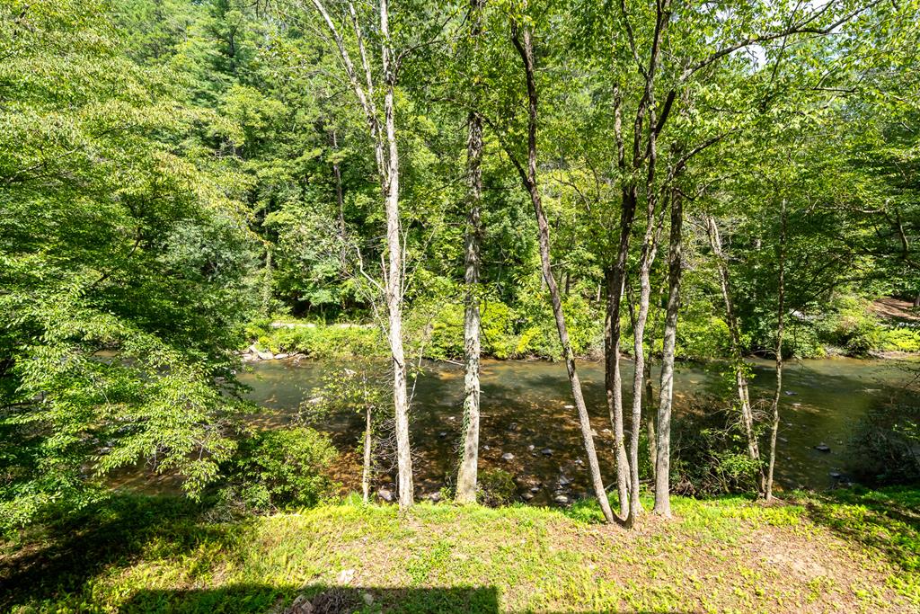 212 Fish Tale Cove Property Photo 64