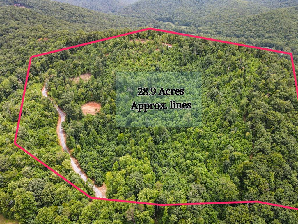 28.90 AC Tom Wheeler Road Property Photo 1