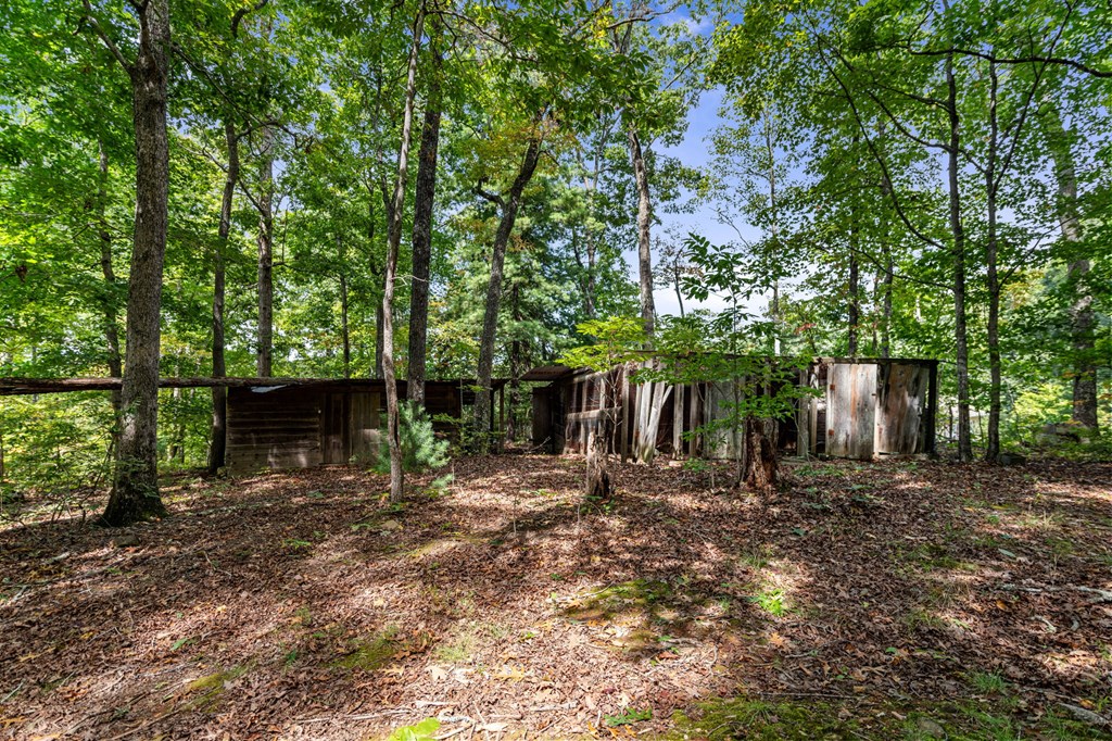 788 Lake Forest Drive Property Photo 11