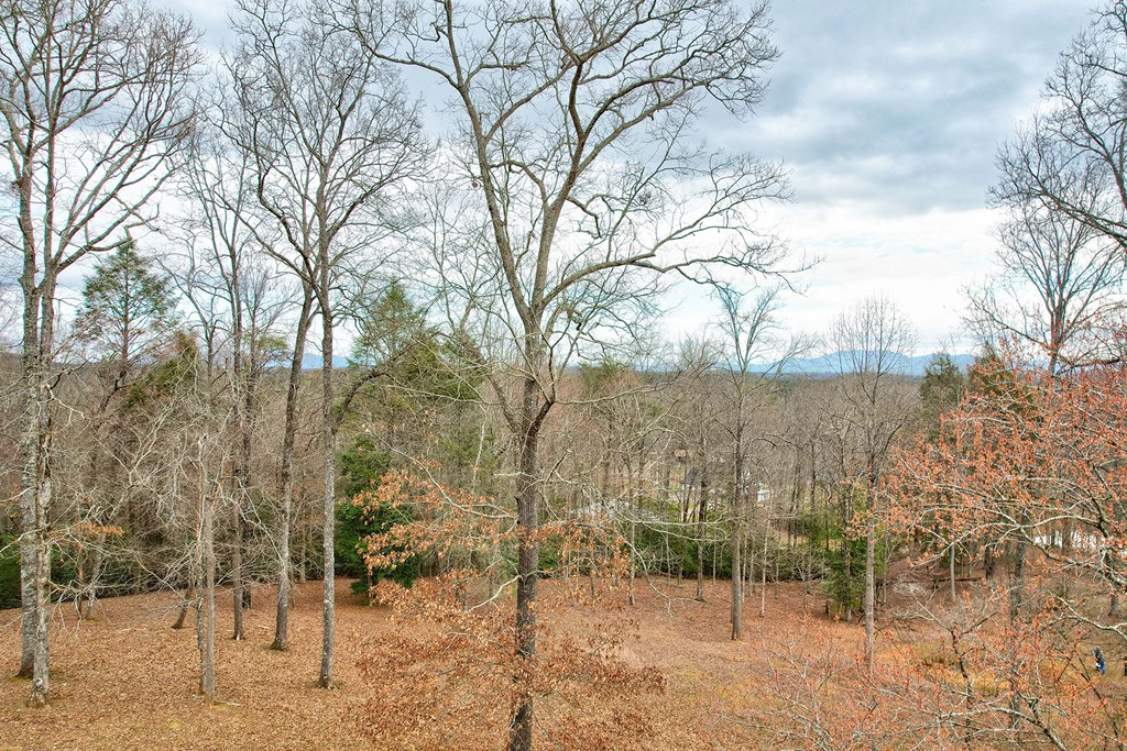 146 Bentwood Lane Property Photo 2
