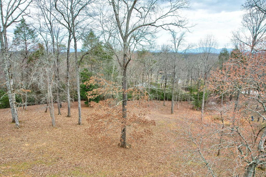 146 Bentwood Lane Property Photo 31