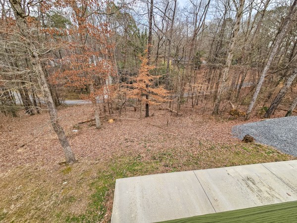 173 Warlick Drive Property Photo 49