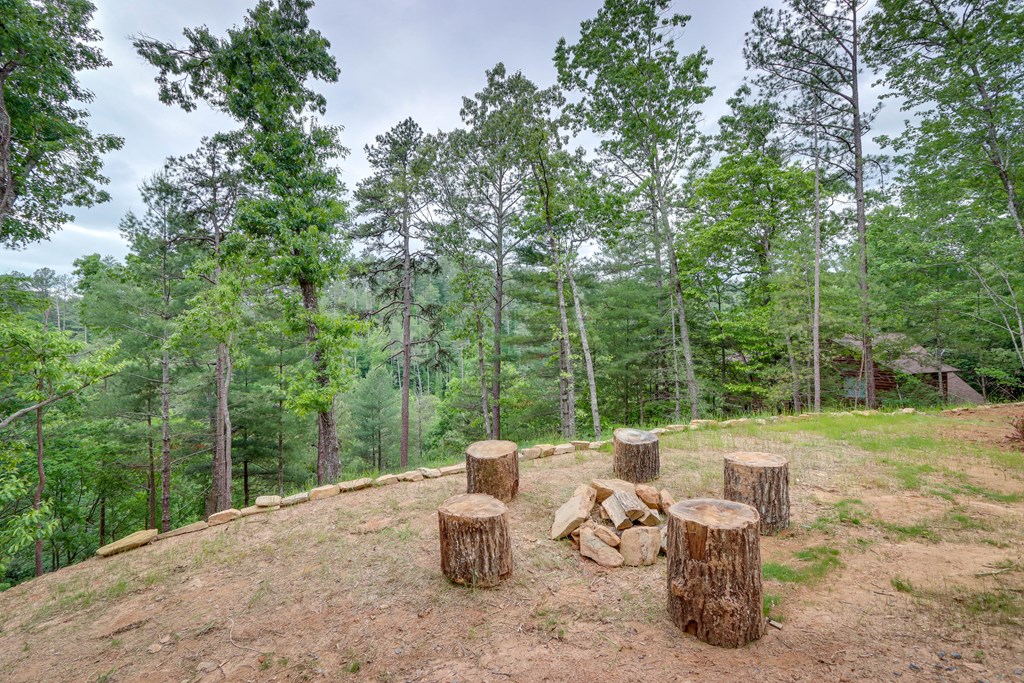 487 Hillsdale Drive Property Photo 8