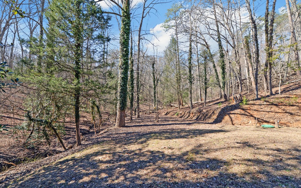168 Fightingtown Creek Road Property Photo 28