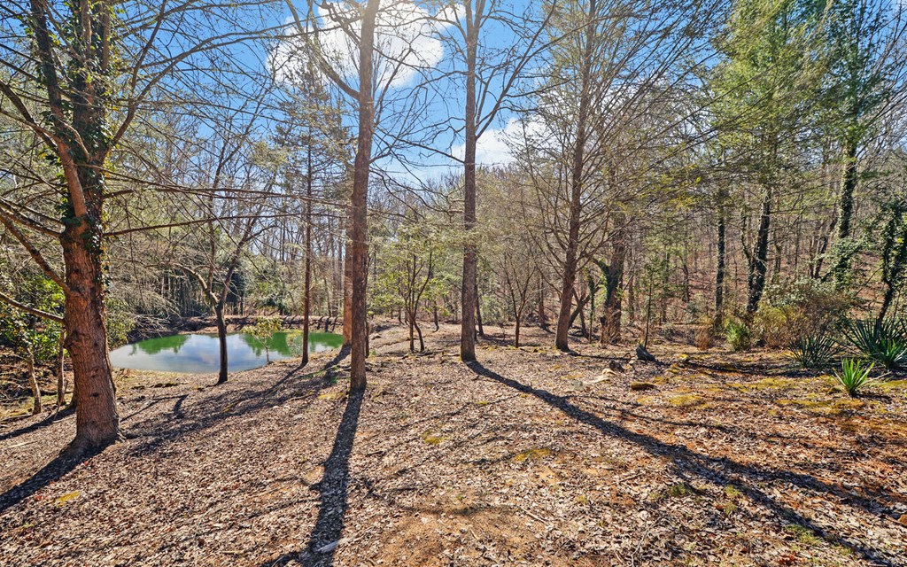 168 Fightingtown Creek Road Property Photo 30