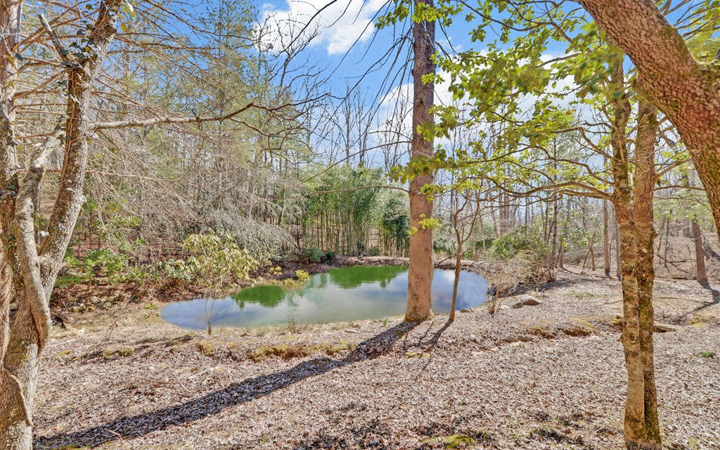 168 Fightingtown Creek Road Property Photo 31