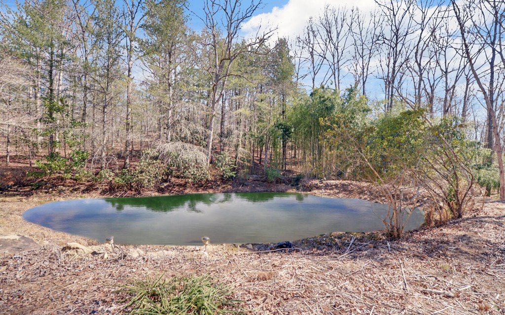 168 Fightingtown Creek Road Property Photo 32