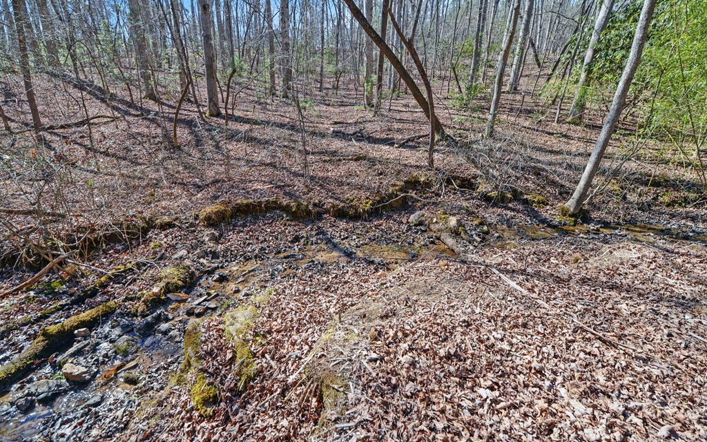 168 Fightingtown Creek Road Property Photo 33