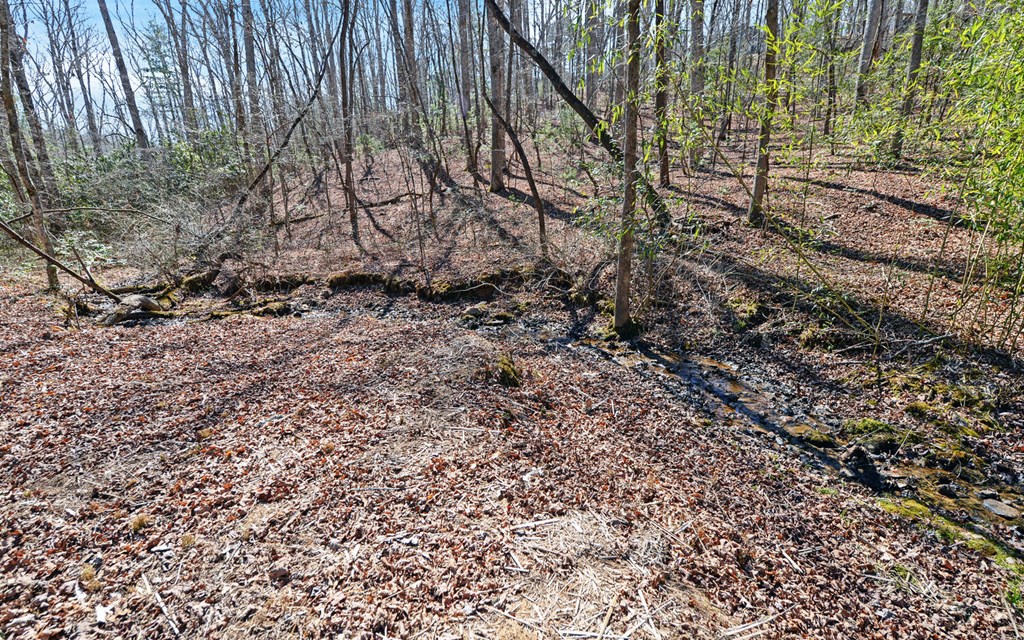 168 Fightingtown Creek Road Property Photo 34