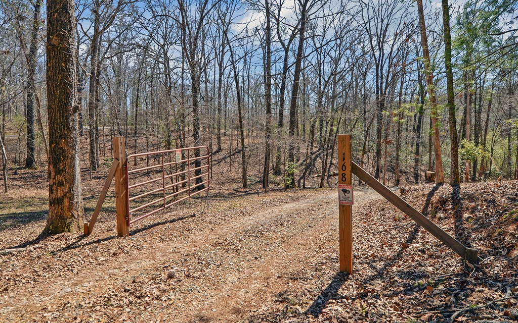 168 Fightingtown Creek Road Property Photo 35