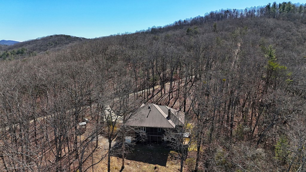 790 Old Burnt Mountain Road Property Photo 12