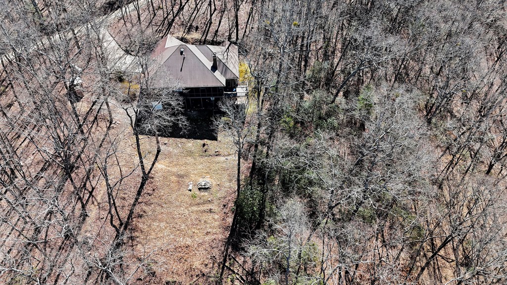 790 Old Burnt Mountain Road Property Photo 13