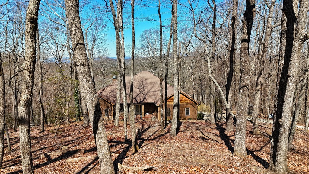 790 Old Burnt Mountain Road Property Photo 22