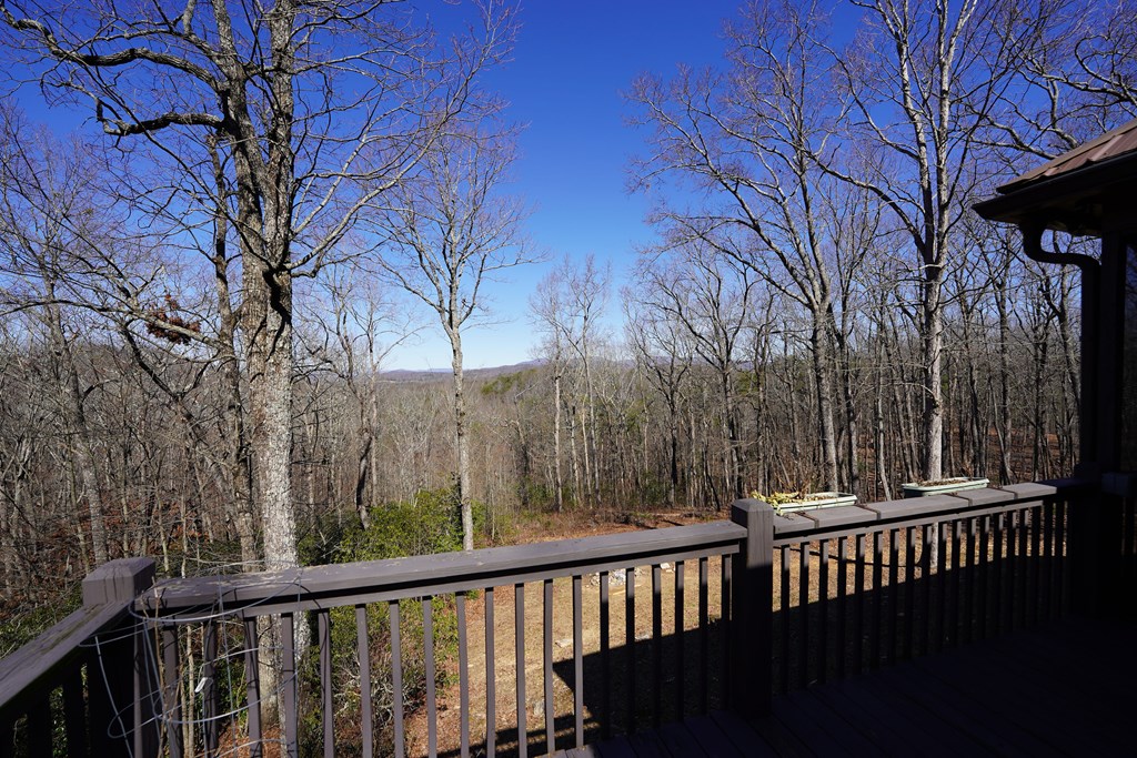 790 Old Burnt Mountain Road Property Photo 27
