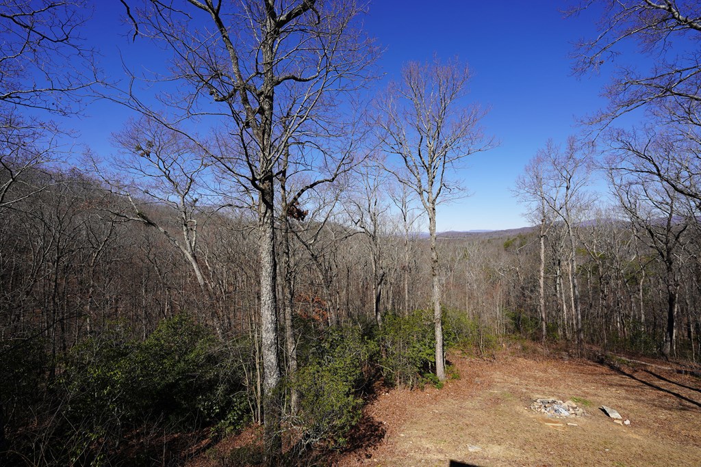 790 Old Burnt Mountain Road Property Photo 28