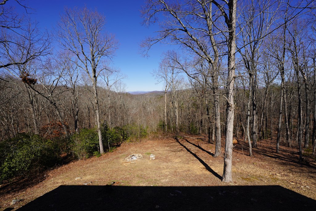 790 Old Burnt Mountain Road Property Photo 32