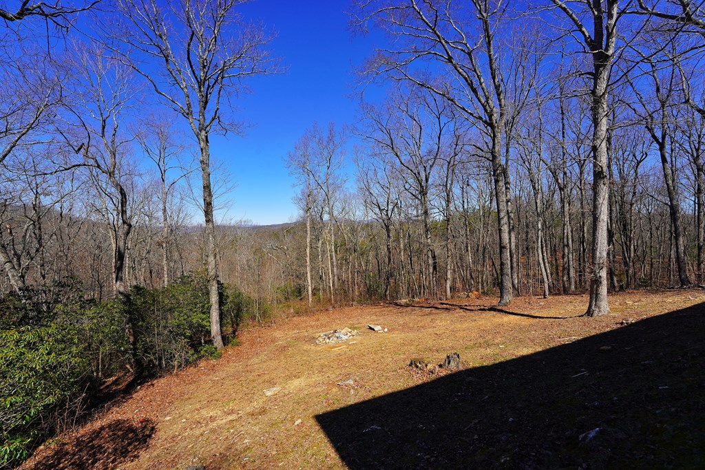 790 Old Burnt Mountain Road Property Photo 73
