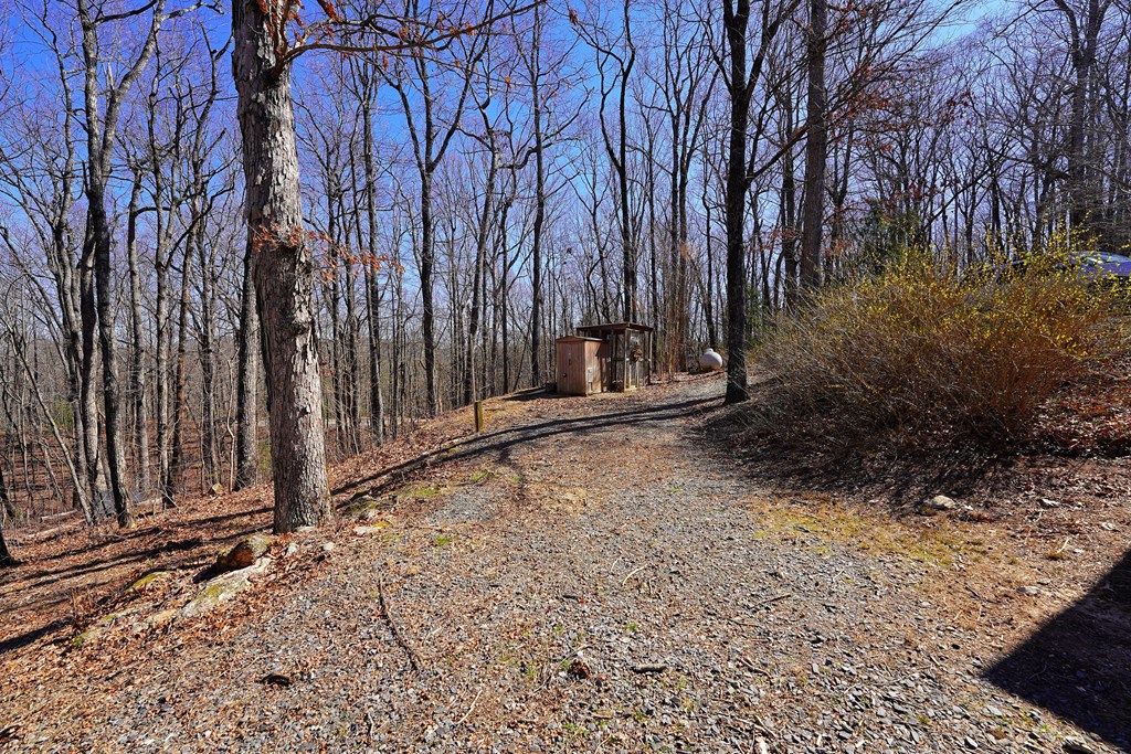 790 Old Burnt Mountain Road Property Photo 75
