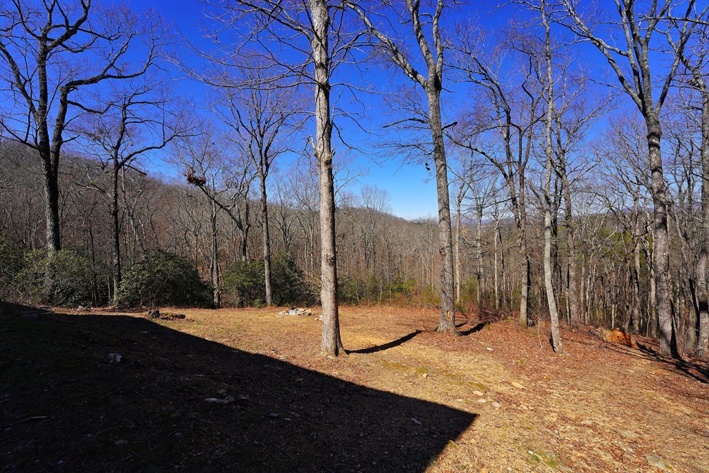 790 Old Burnt Mountain Road Property Photo 77