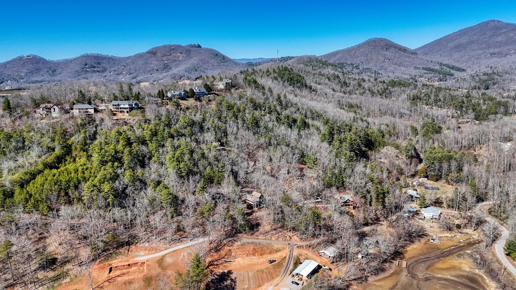 2103 Pooh Corner Property Photo 60