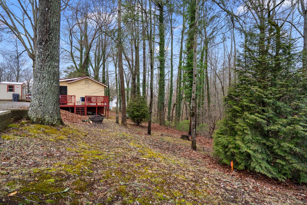 95 Nottely Lake Cottage Property Photo 26