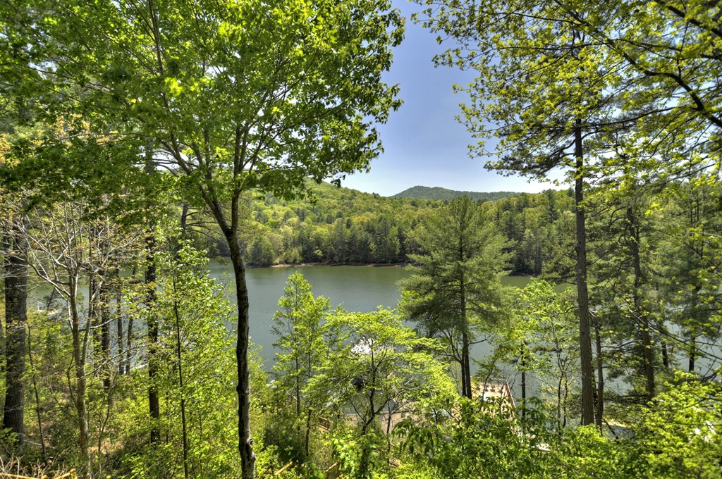 670 Magnolia Drive Property Photo 3