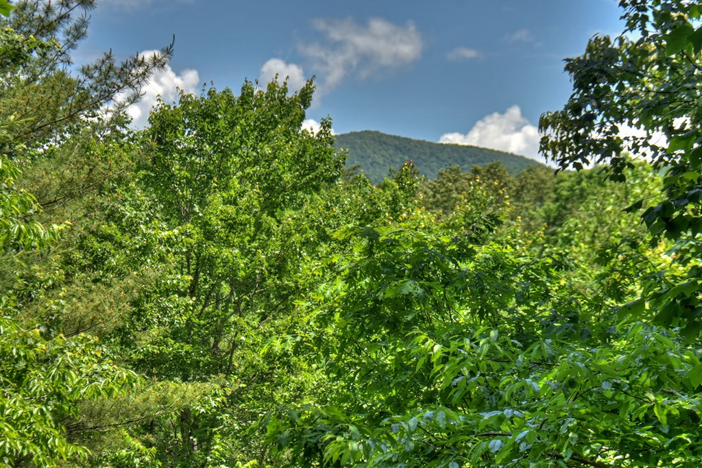 92 Cherry Lake Drive Property Photo 31