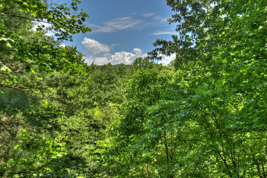 92 Cherry Lake Drive Property Photo 45