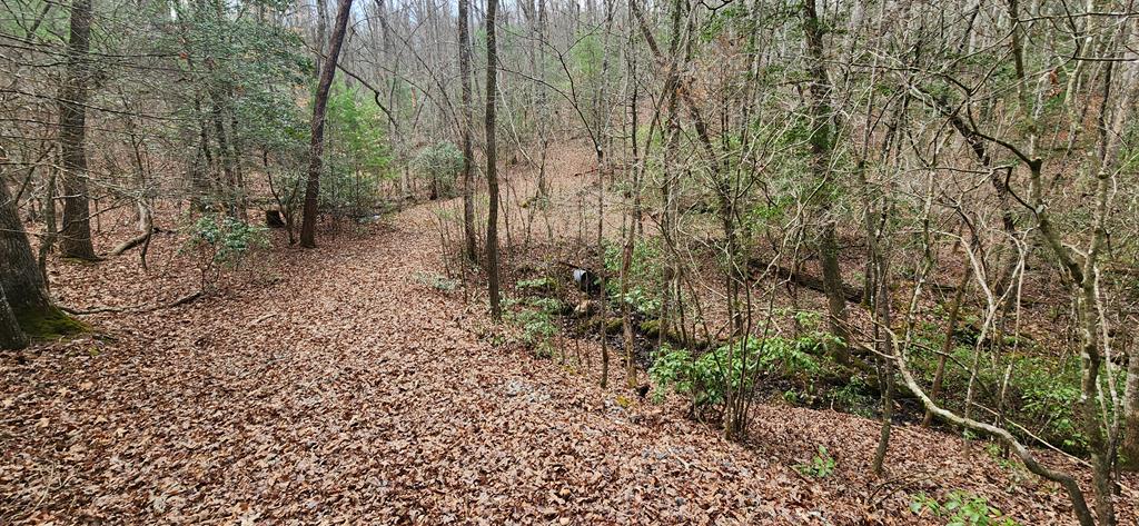 Lot 18 Gray Fox Trail Property Photo