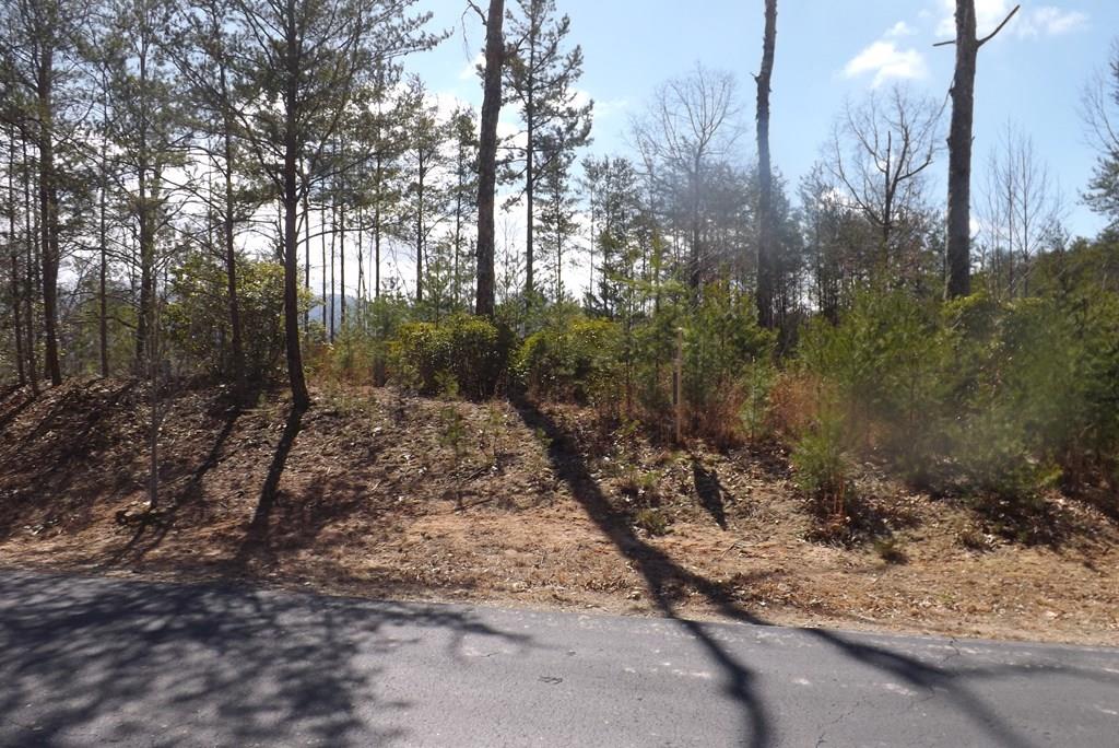 Lot 51 Ray Drive Dblsprings Property Photo