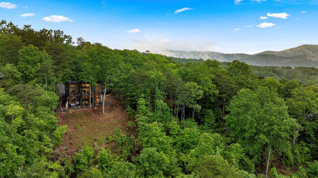566 Cohutta Mountain Road Property Photo 55