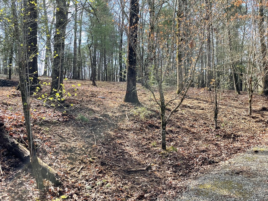 11 Ivy Overlook Property Photo 47