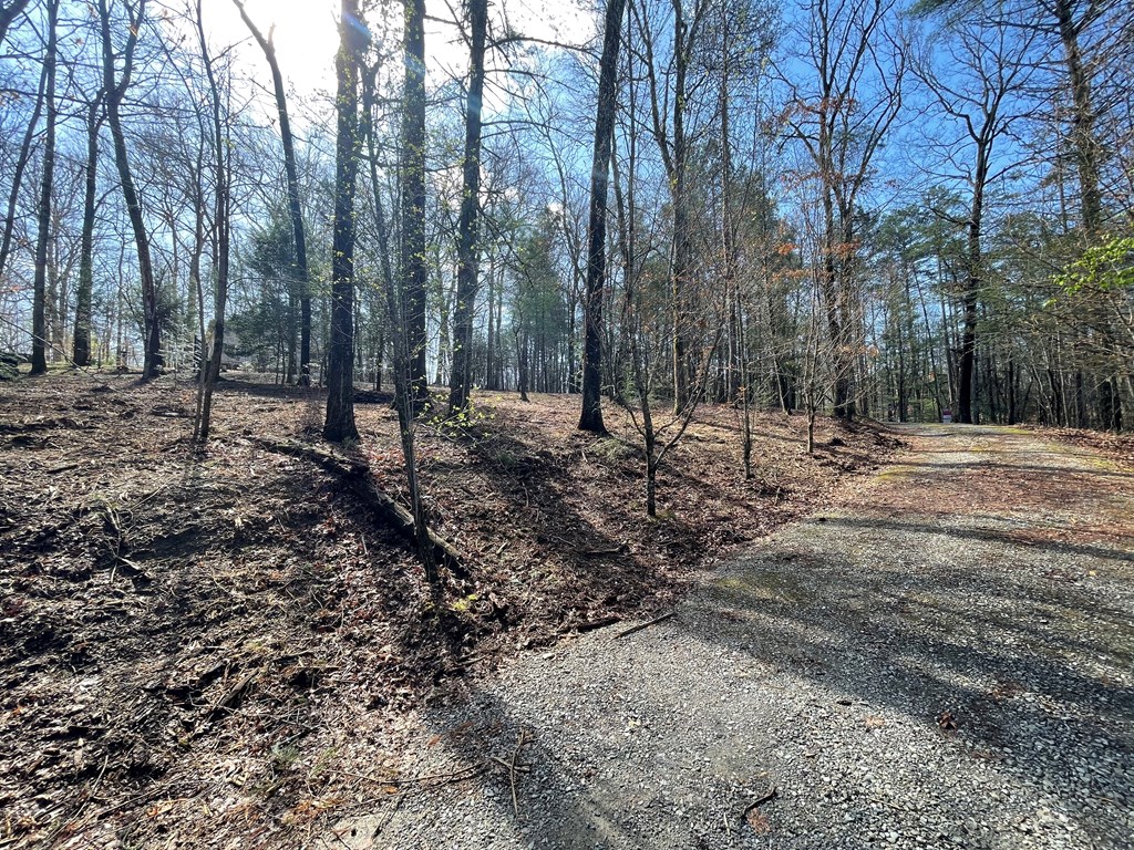 11 Ivy Overlook Property Photo 57