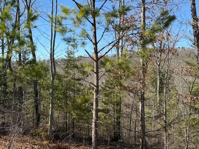 Lot #11 Long View Lane Property Photo