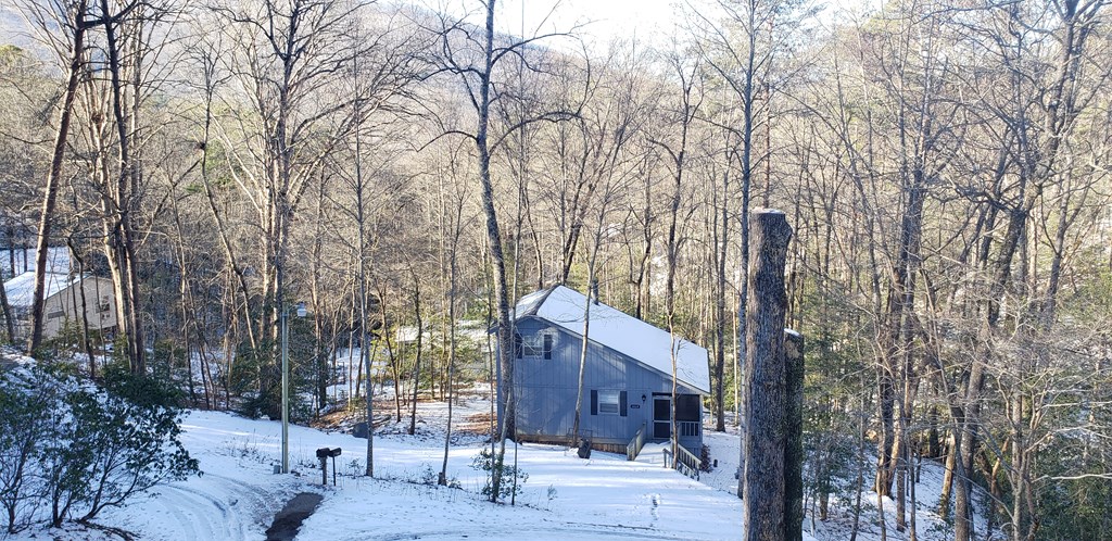 4660 Mitchell Cove Road Property Photo 12