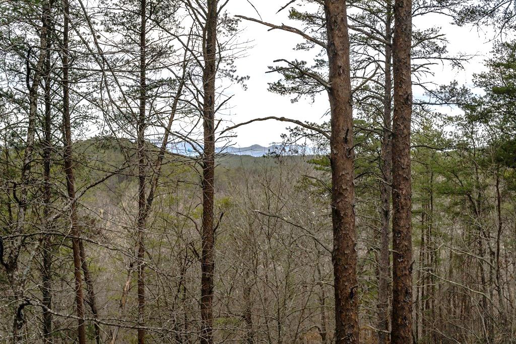 233 River Hills Property Photo 29