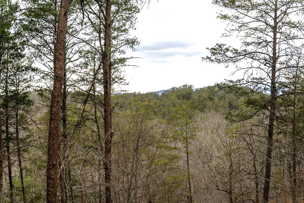 233 River Hills Property Photo 54
