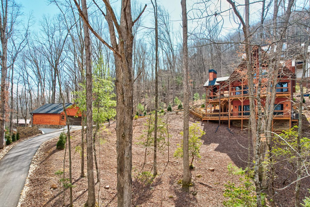 1601 Shady Falls Road Property Photo 4