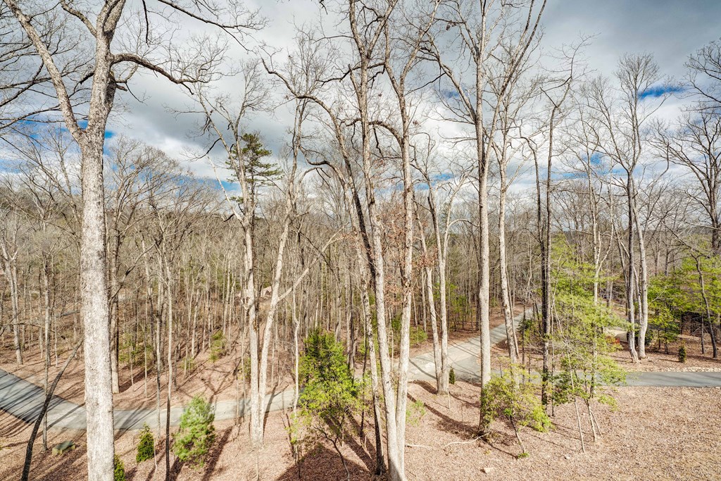 1601 Shady Falls Road Property Photo 10
