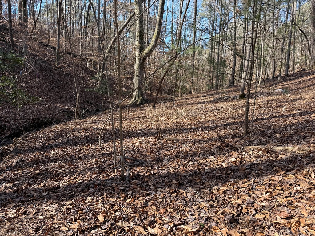 297 Oneida Circle Property Photo 6